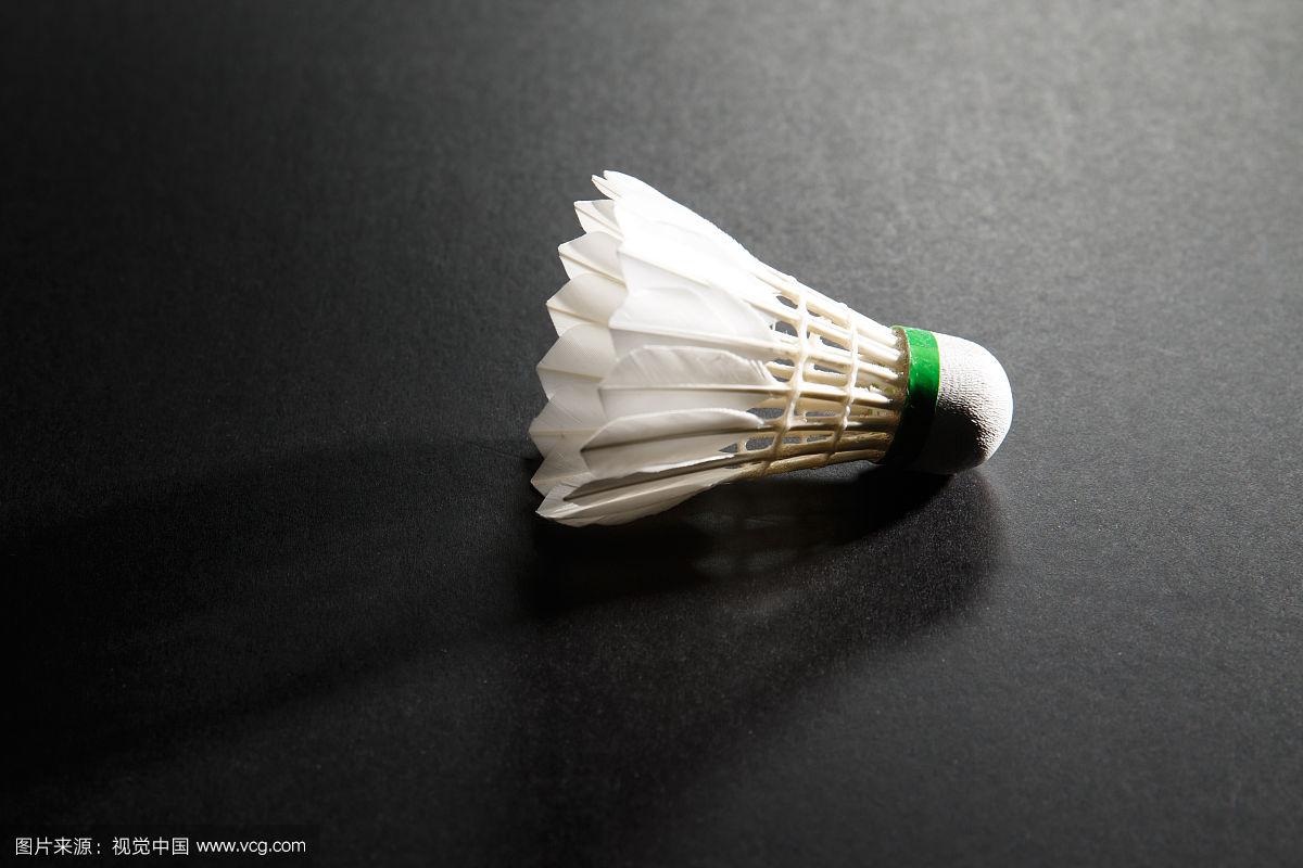 上赛季因伤 上赛季因伤